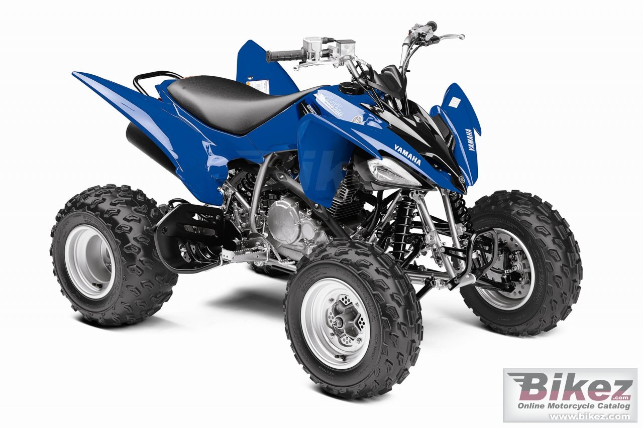 Big Yamaha raptor 250 picture and wallpaper from Bikez.com